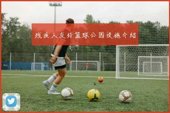 残疾人友好篮球公园设施介绍